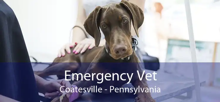 Emergency Vet Coatesville - Pennsylvania