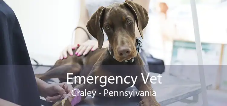 Emergency Vet Craley - Pennsylvania