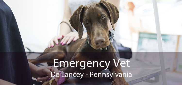Emergency Vet De Lancey - Pennsylvania