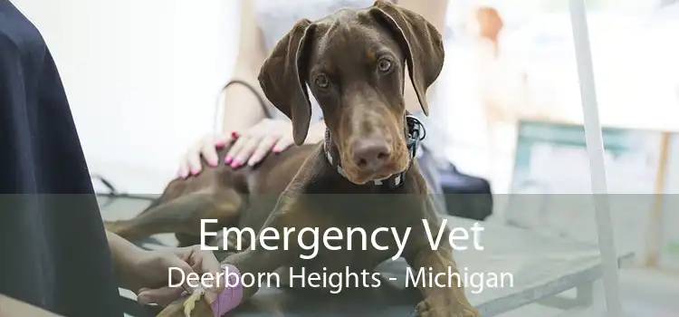 Emergency Vet Deerborn Heights - Michigan