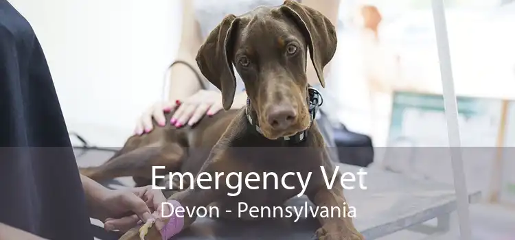 Emergency Vet Devon - Pennsylvania