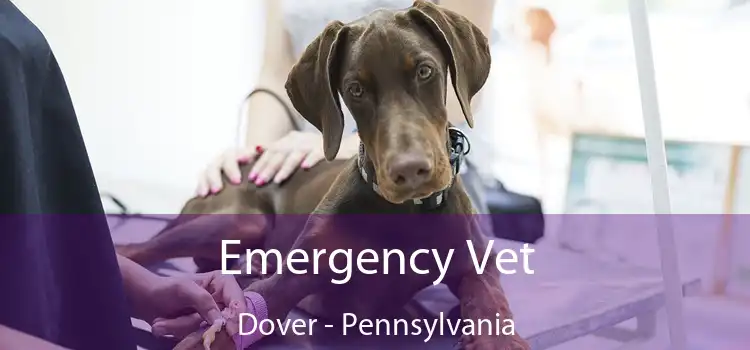 Emergency Vet Dover - Pennsylvania