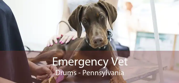 Emergency Vet Drums - Pennsylvania