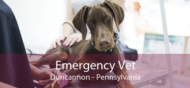 Emergency Vet Duncannon - Pennsylvania