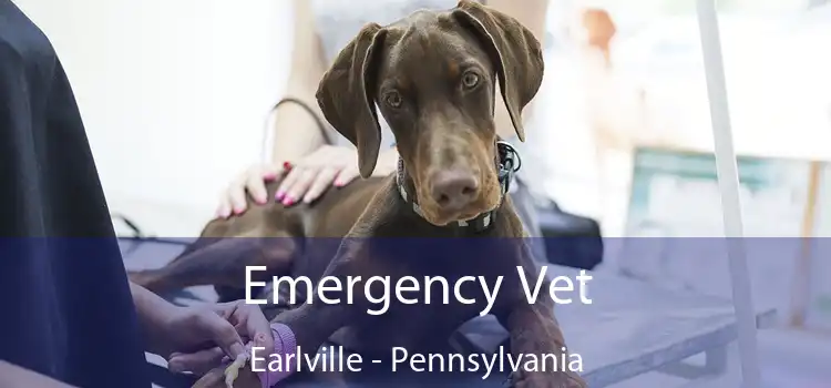 Emergency Vet Earlville - Pennsylvania