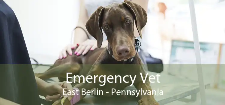Emergency Vet East Berlin - Pennsylvania