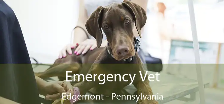 Emergency Vet Edgemont - Pennsylvania