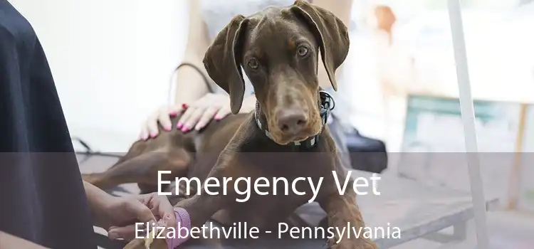 Emergency Vet Elizabethville - Pennsylvania