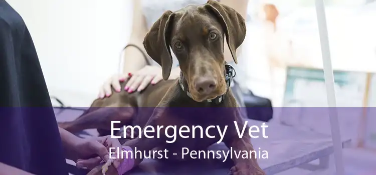 Emergency Vet Elmhurst - Pennsylvania