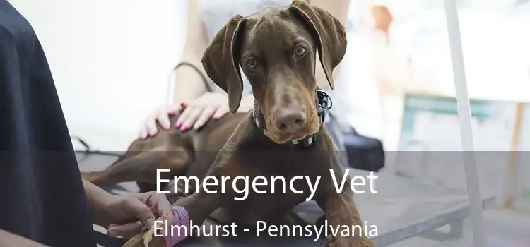 Emergency Vet Elmhurst - Pennsylvania