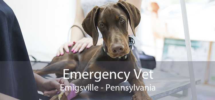 Emergency Vet Emigsville - Pennsylvania