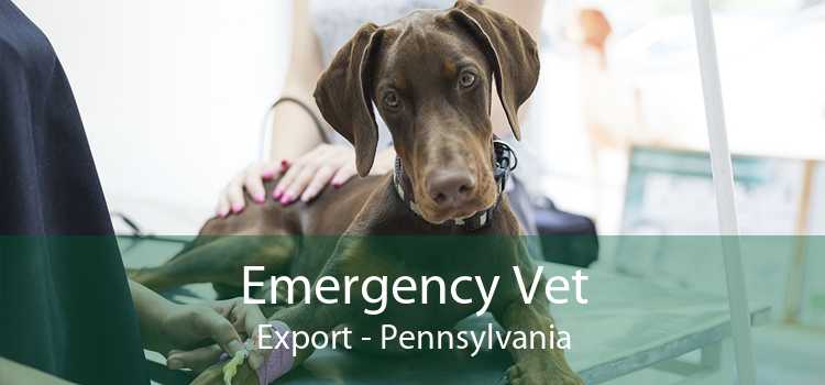 Emergency Vet Export - Pennsylvania