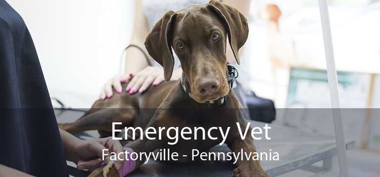 Emergency Vet Factoryville - Pennsylvania