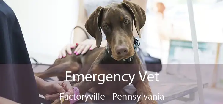 Emergency Vet Factoryville - Pennsylvania