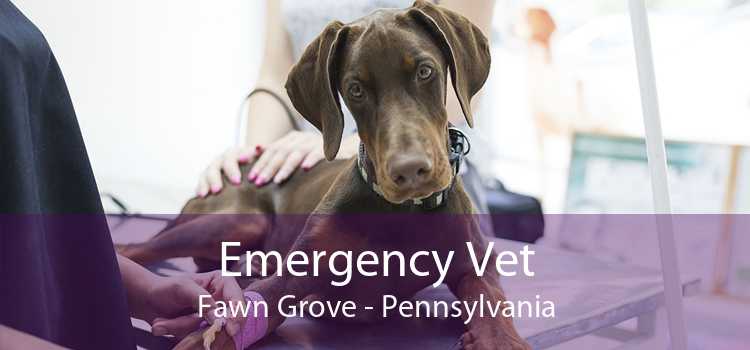 Emergency Vet Fawn Grove - Pennsylvania