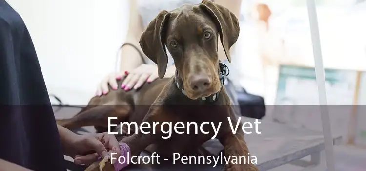 Emergency Vet Folcroft - Pennsylvania