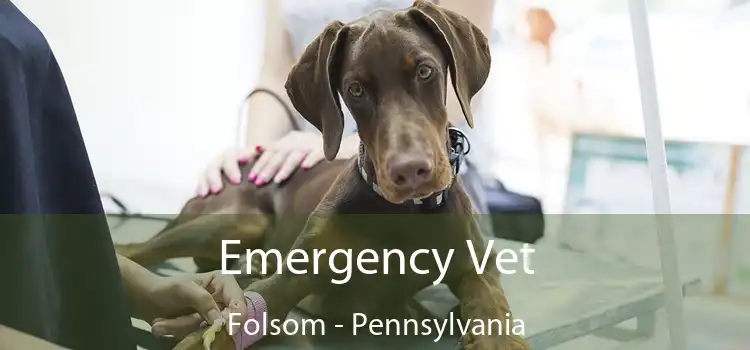 Emergency Vet Folsom - Pennsylvania
