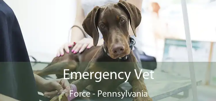 Emergency Vet Force - Pennsylvania