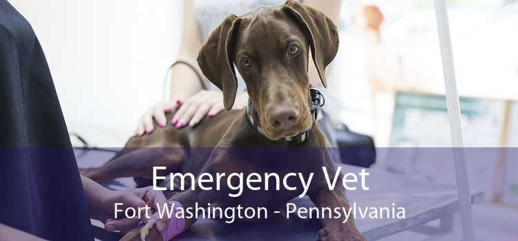 Emergency Vet Fort Washington - Pennsylvania