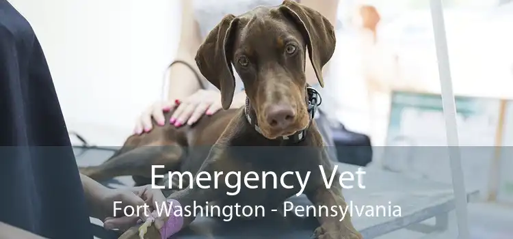 Emergency Vet Fort Washington - Pennsylvania