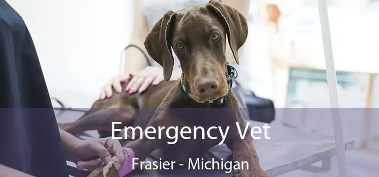 Emergency Vet Frasier - Michigan