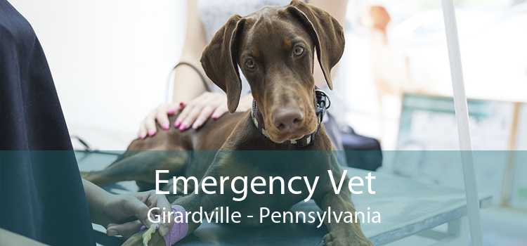 Emergency Vet Girardville - Pennsylvania