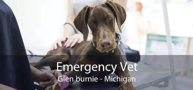 Emergency Vet Glen burnie - Michigan