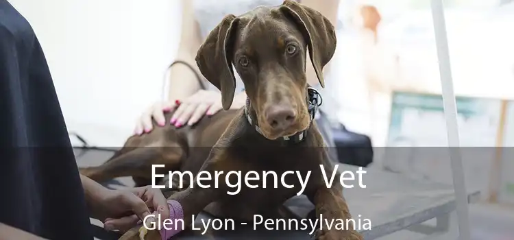 Emergency Vet Glen Lyon - Pennsylvania