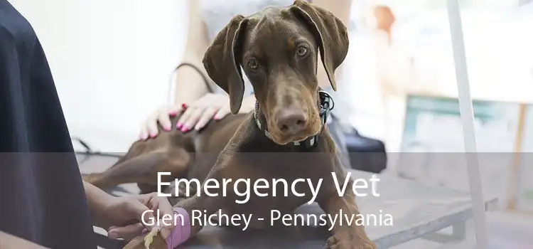 Emergency Vet Glen Richey - Pennsylvania