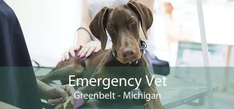 Emergency Vet Greenbelt - Michigan