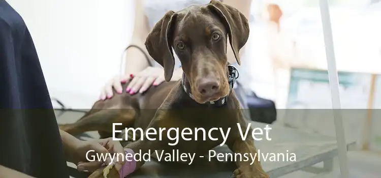 Emergency Vet Gwynedd Valley - Pennsylvania