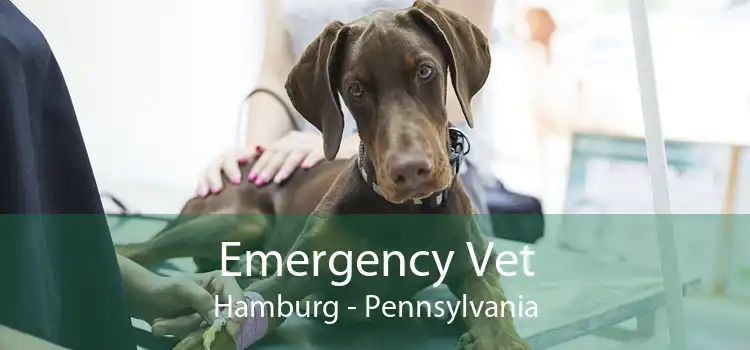 Emergency Vet Hamburg - Pennsylvania