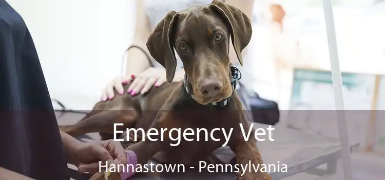 Emergency Vet Hannastown - Pennsylvania