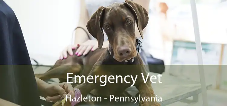 Emergency Vet Hazleton - Pennsylvania