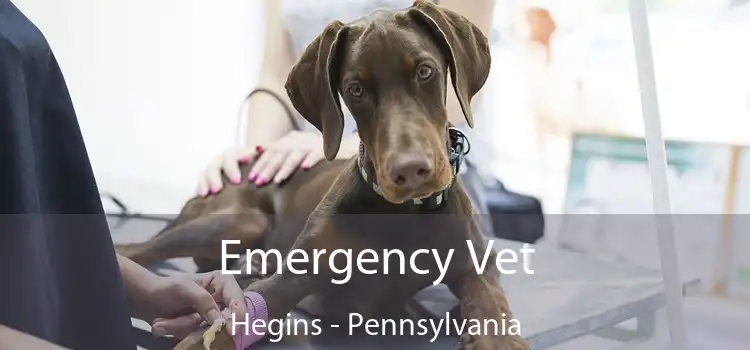Emergency Vet Hegins - Pennsylvania