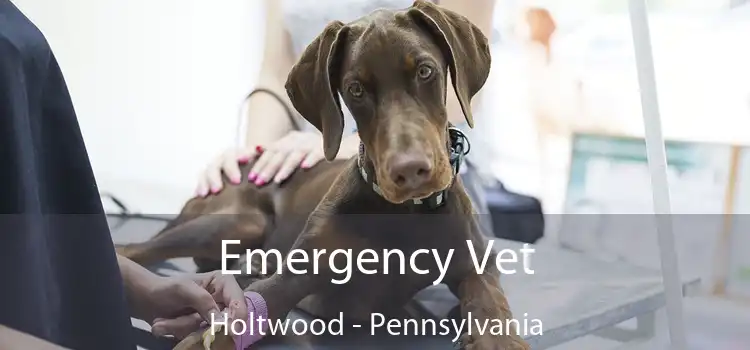 Emergency Vet Holtwood - Pennsylvania