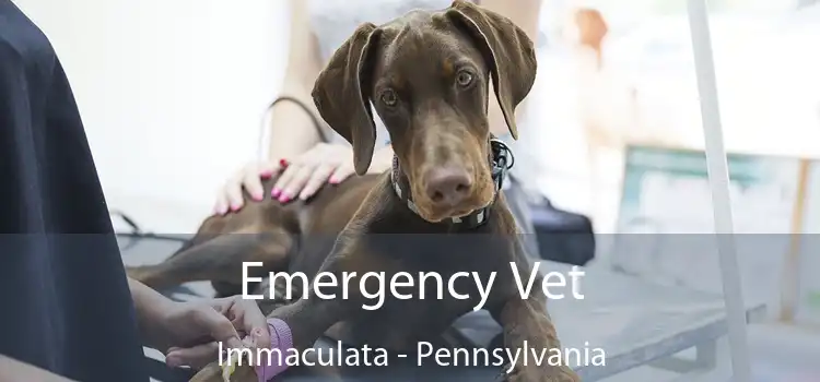 Emergency Vet Immaculata - Pennsylvania