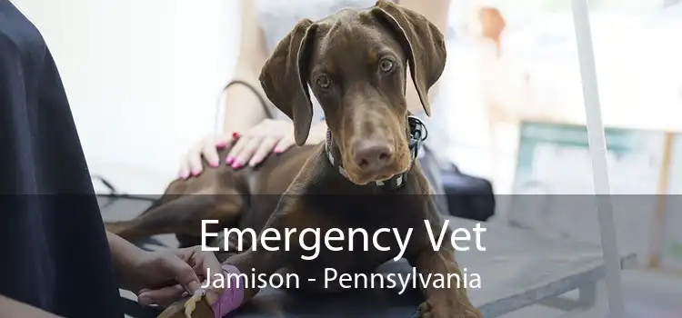 Emergency Vet Jamison - Pennsylvania