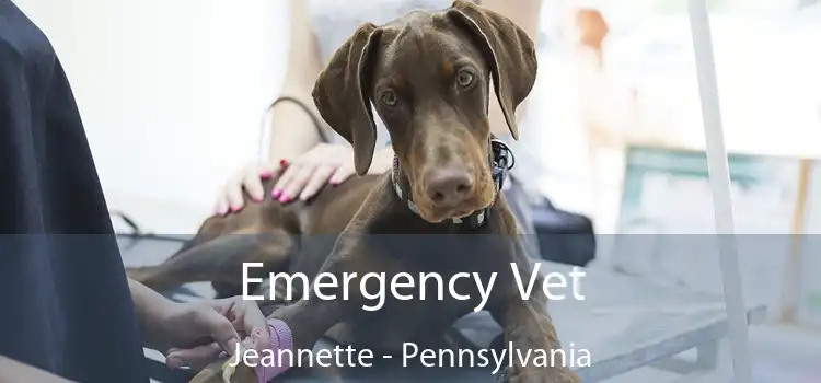 Emergency Vet Jeannette - Pennsylvania
