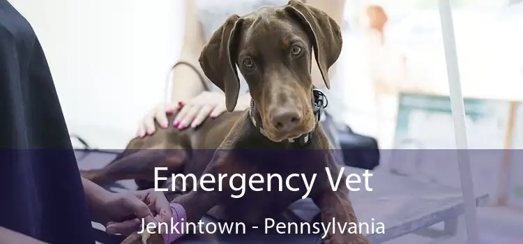 Emergency Vet Jenkintown - Pennsylvania