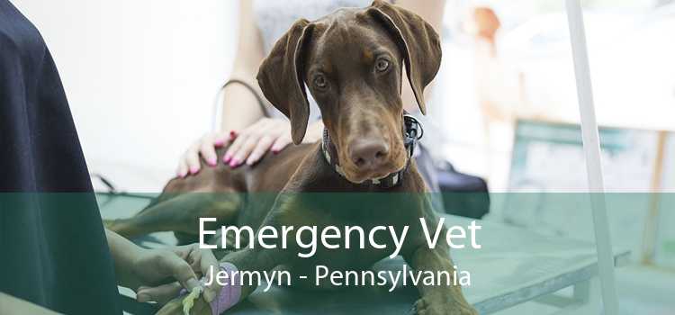 Emergency Vet Jermyn - Pennsylvania