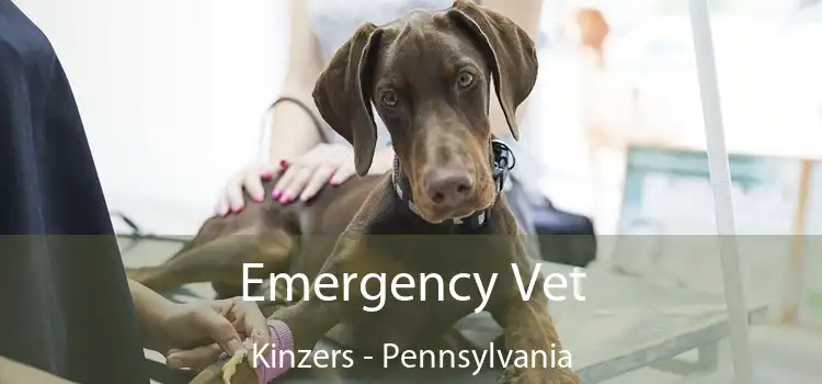 Emergency Vet Kinzers - Pennsylvania