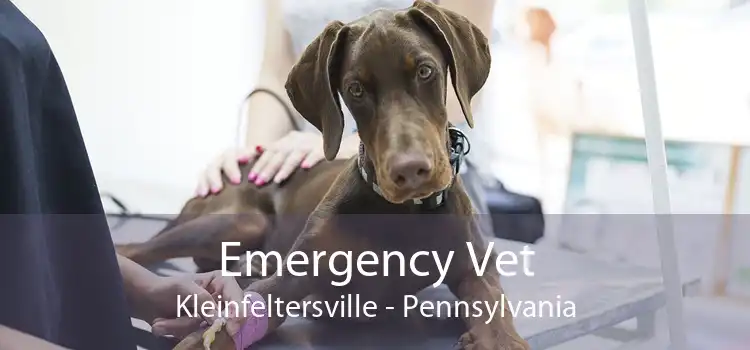 Emergency Vet Kleinfeltersville - Pennsylvania