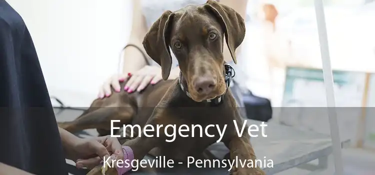 Emergency Vet Kresgeville - Pennsylvania