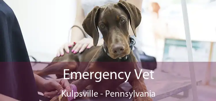 Emergency Vet Kulpsville - Pennsylvania