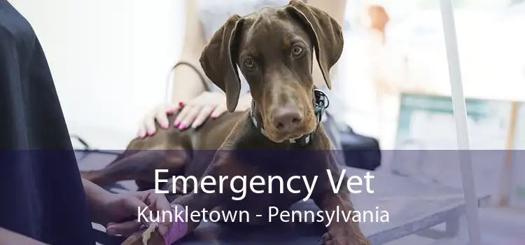 Emergency Vet Kunkletown - Pennsylvania