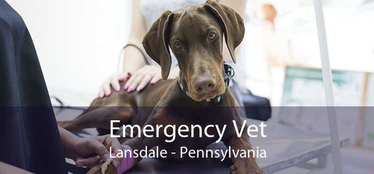 Emergency Vet Lansdale - Pennsylvania