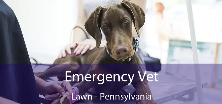 Emergency Vet Lawn - Pennsylvania