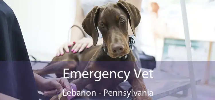 Emergency Vet Lebanon - Pennsylvania