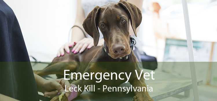 Emergency Vet Leck Kill - Pennsylvania